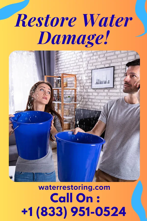 water restoration Summit Cleanup Inc Lesslie