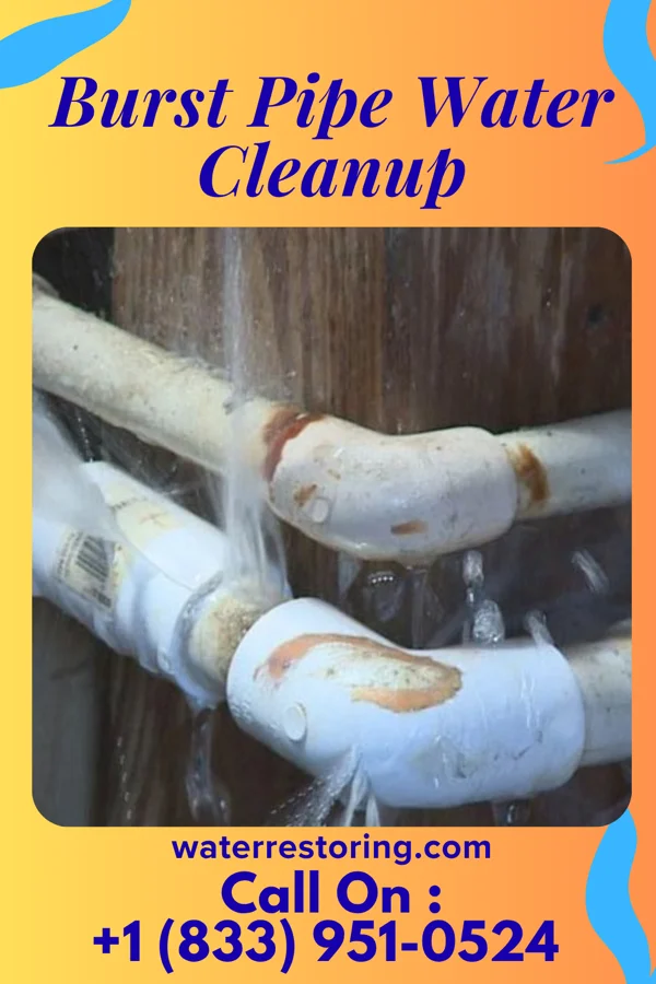 Burst Pipe Water Cleanup in Lesslie, SC
