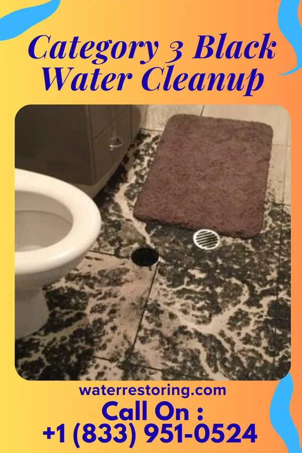 Category 3 Black Water Cleanup in Lesslie, SC