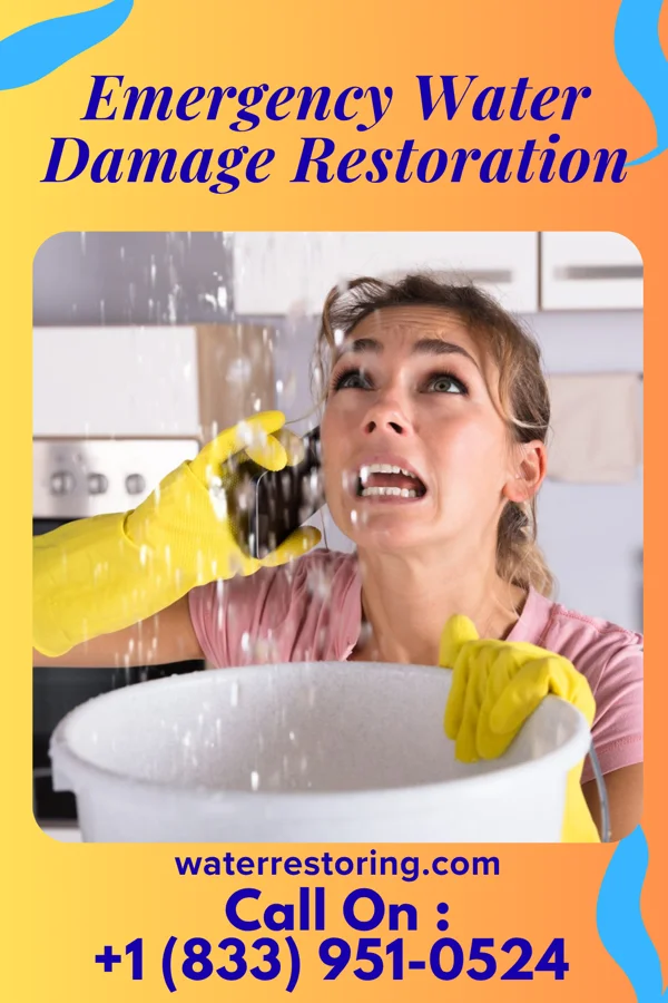 Emergency Water Damage Restoration in Lesslie, SC