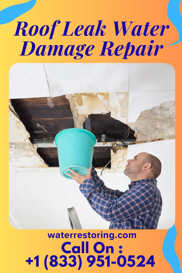 Roof Leak Water Damage Repair in Lesslie, SC