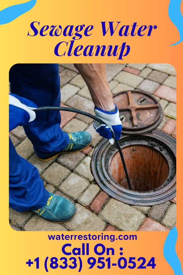 Sewage Water Cleanup in Lesslie, SC